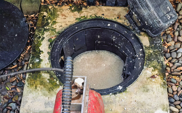 https://blockeddrainsglendalough.com.au/uploads/2025/07/blocked-drains-820453.jpg