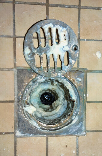 https://blockeddrainsglendalough.com.au/uploads/2025/07/blocked-shower-drains-86331.jpg