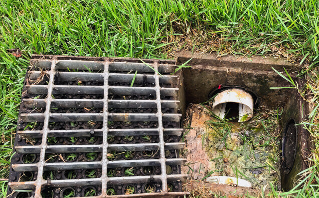 https://blockeddrainsglendalough.com.au/uploads/2025/07/hero-blocked-sewers-40191.jpg