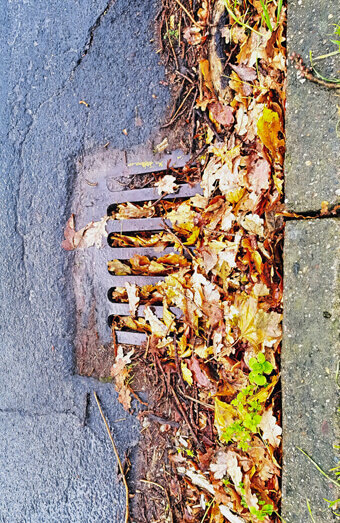 https://blockeddrainsglendalough.com.au/uploads/2025/07/stormwater-drains-48051.jpg